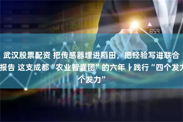 武汉股票配资 把传感器埋进稻田，把经验写进联合国报告 这支成都“农业智囊团”的六年｜践行“四个发力”