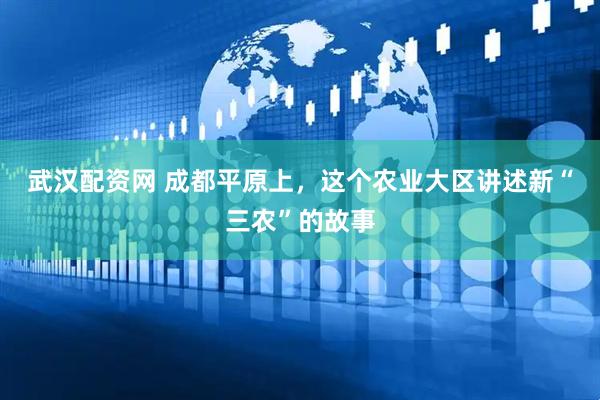 武汉配资网 成都平原上，这个农业大区讲述新“三农”的故事